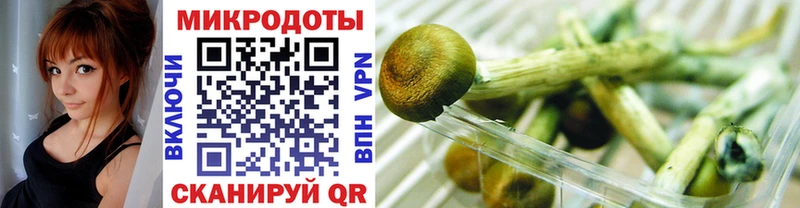 Псилоцибиновые грибы Cubensis  Купить закладки  Барнаул 