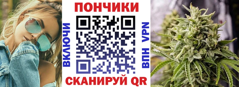 Бошки марихуана сатива  Купить закладки  Барнаул 